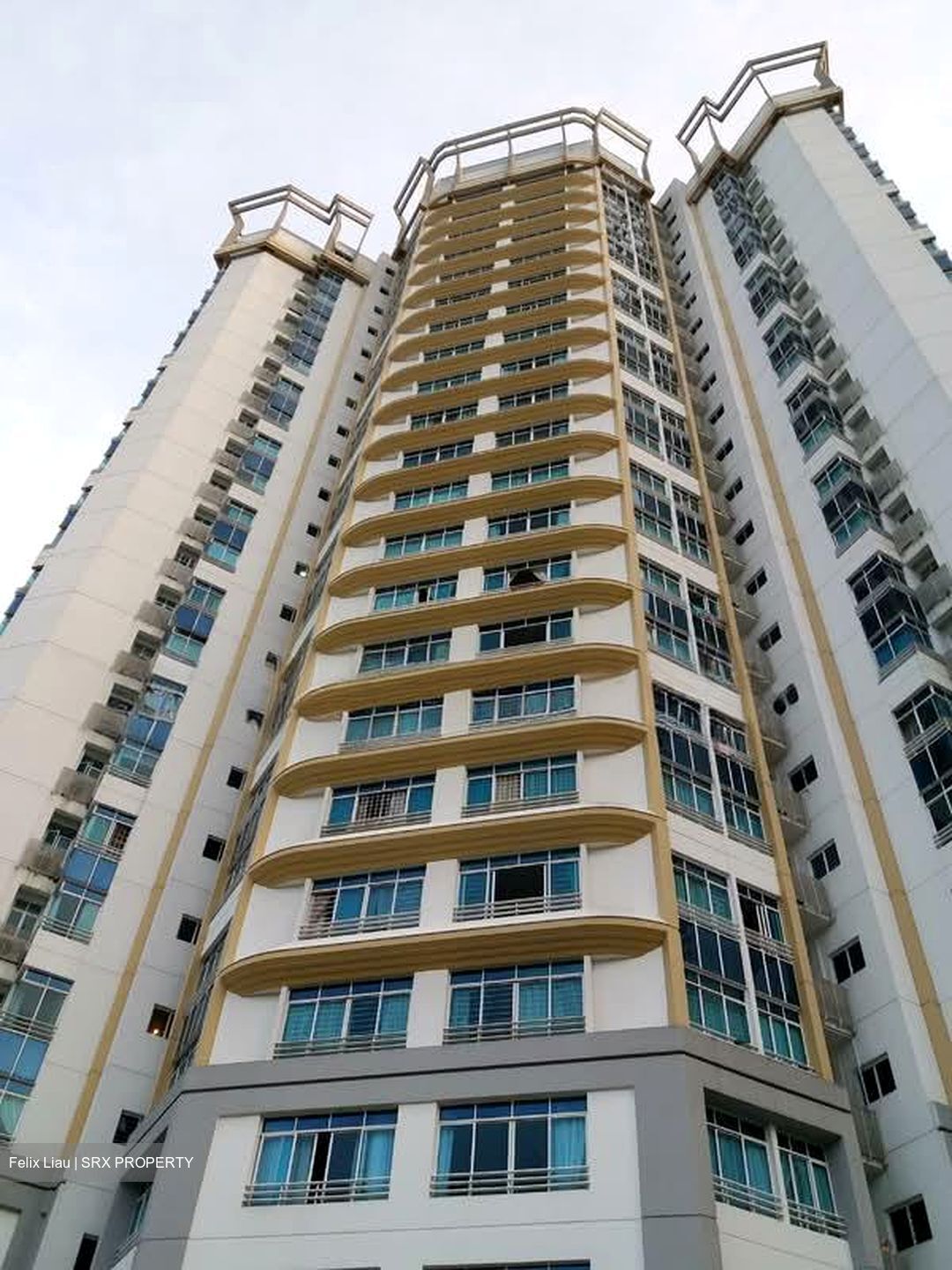 The Atria At Meyer (D15), Condominium #545189641